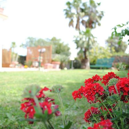 Villa Regina B&B Nettuno Exterior foto